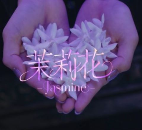茉莉花 -Jasmine-