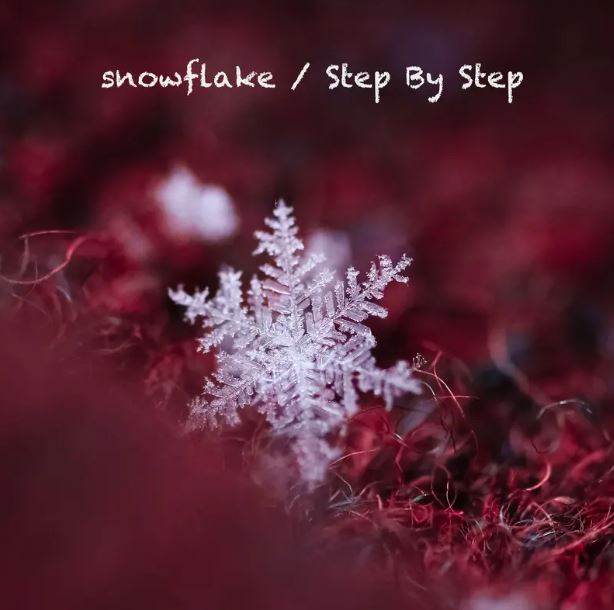 snowflake / Step By Step